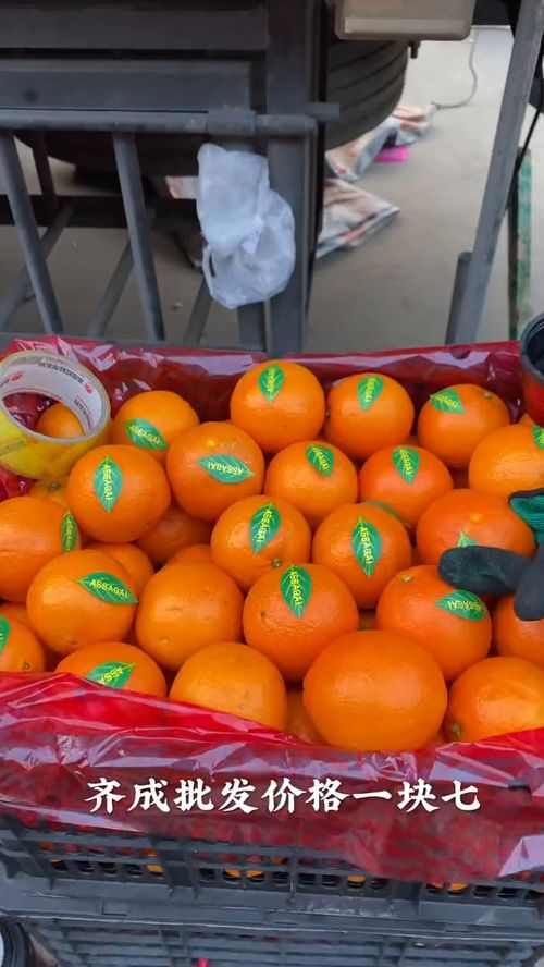 新鲜应季优质苹果 甜脆多汁，批发首选